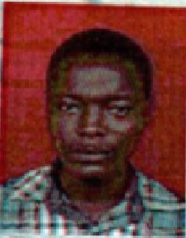 TERRY SARFO